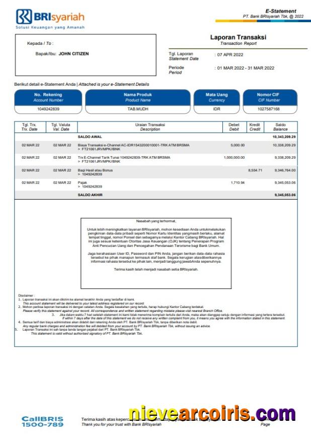 Indonesia BRIsyariah bank statement
